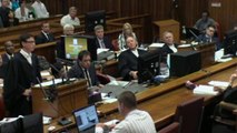 Pistorius trial: Oscar Pistorius throws up in court