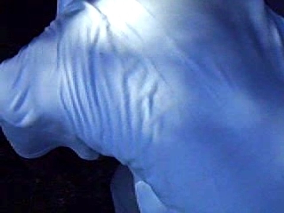 lendemain de fete kaka ki fouette!lol