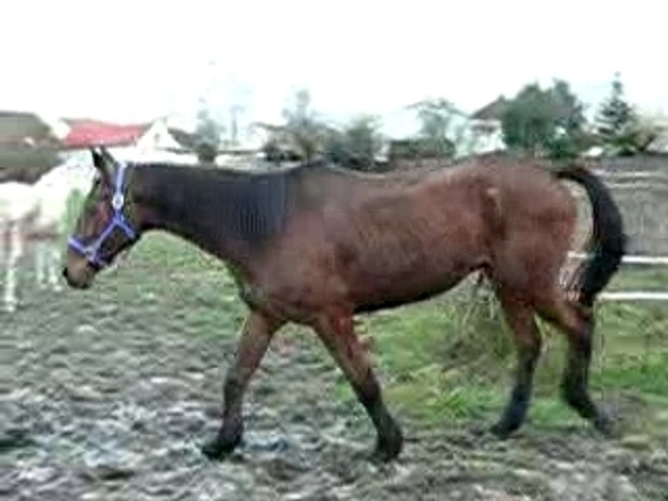 P1150836