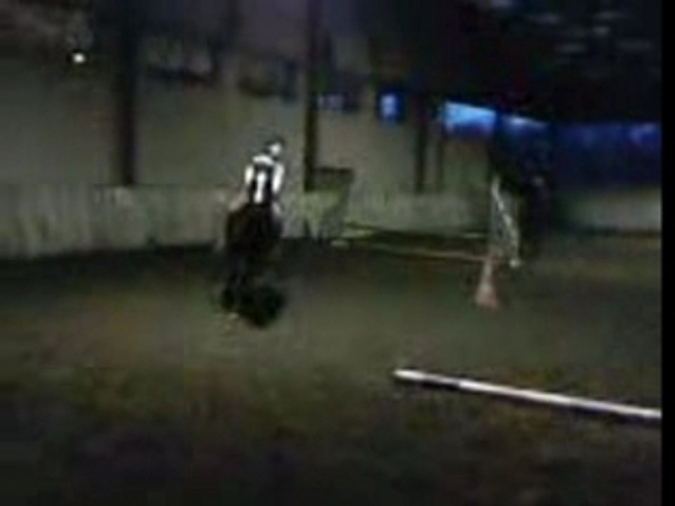 VID024