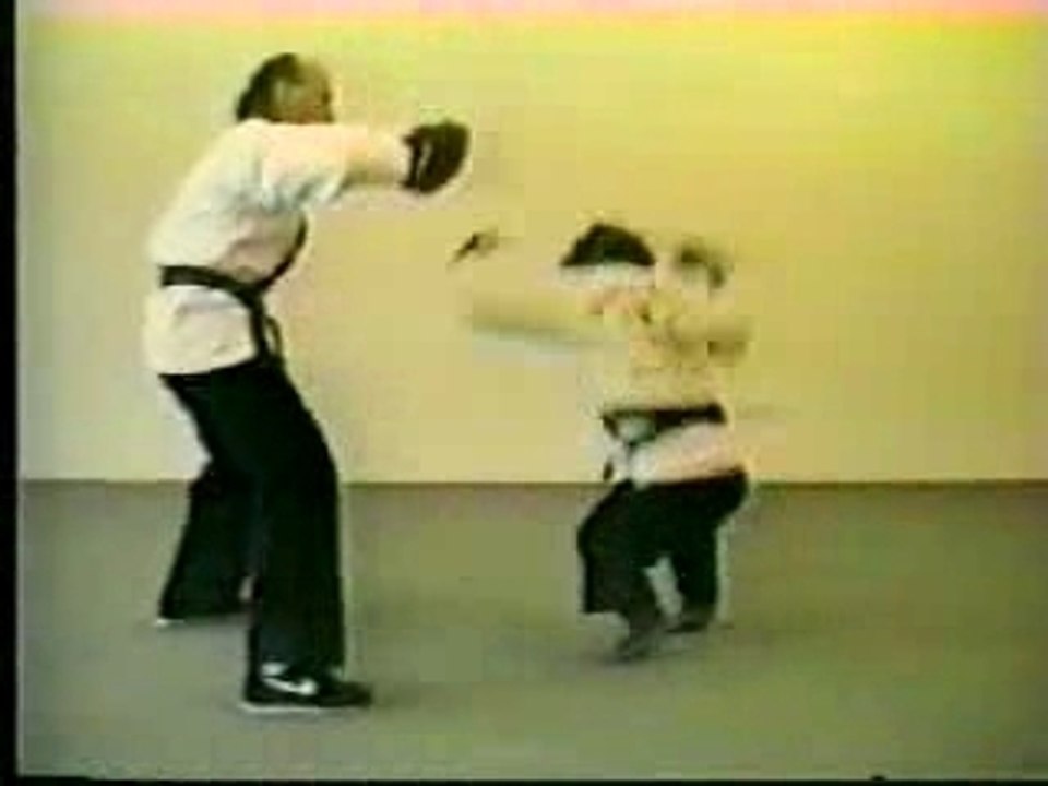 monkey kung-fu
