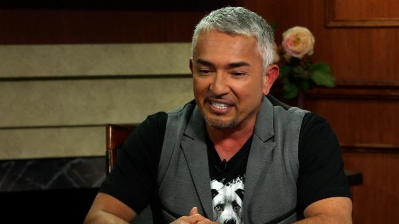 Chewing Is A Reflection Of A Dog Being Bored