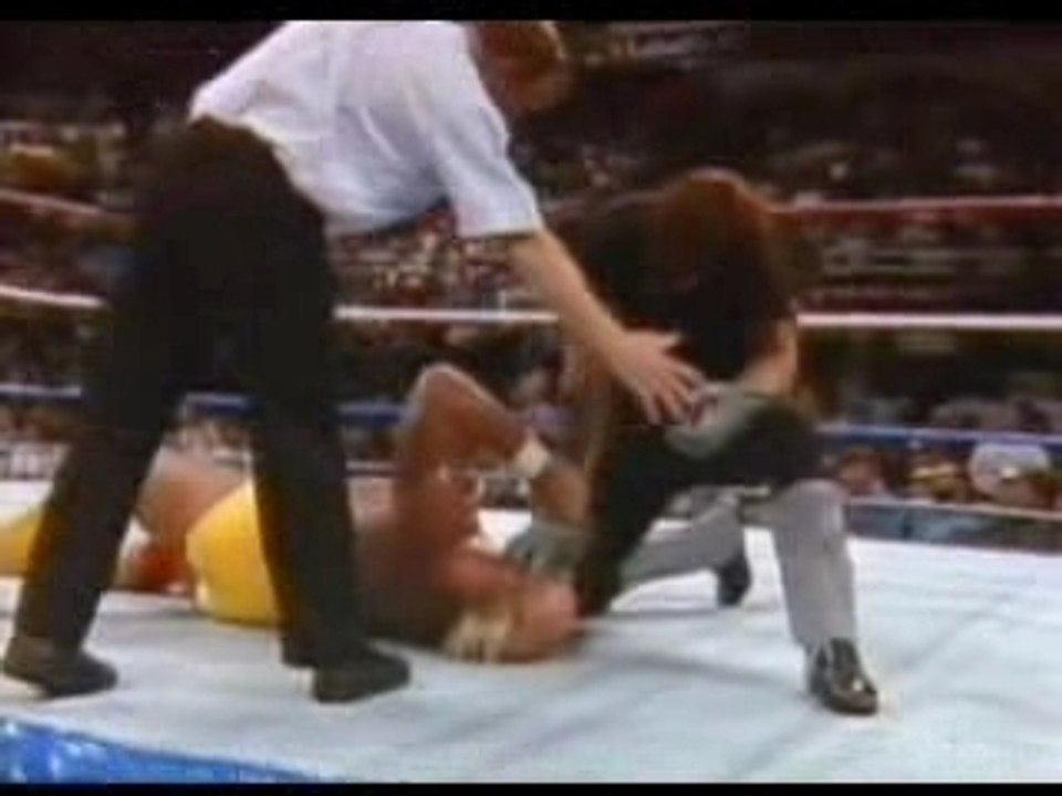 Hulk Hogan vs The Undertaker