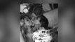 Jessica Simpson Shares 3-Way Kiss With Friends