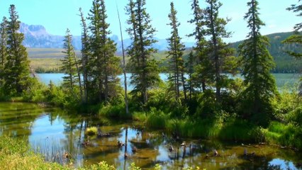 Around Talbot Lake in Jasper NP.