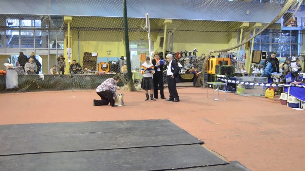 Донецк март -2 2014 035