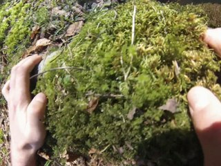 Ouverture truite 2014