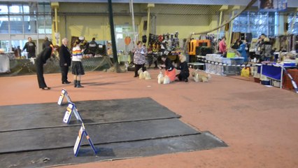 Донецк март -2 2014 031