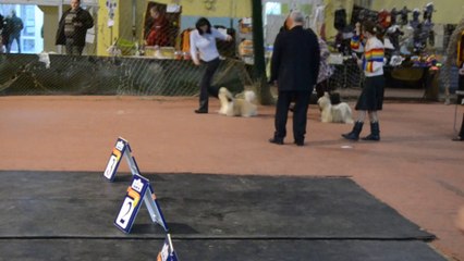 Донецк март -2 2014 032