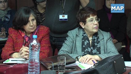 مناقشة تقرير المهمة الاستطلاعية حول قنوات القطب العمومي