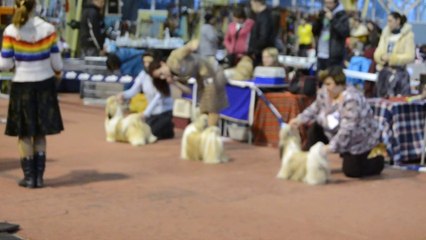 Донецк март -2 2014 038