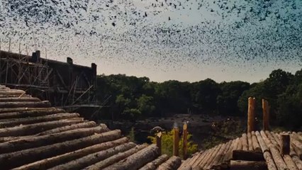 Noah movie Trailer releasing this march 2014