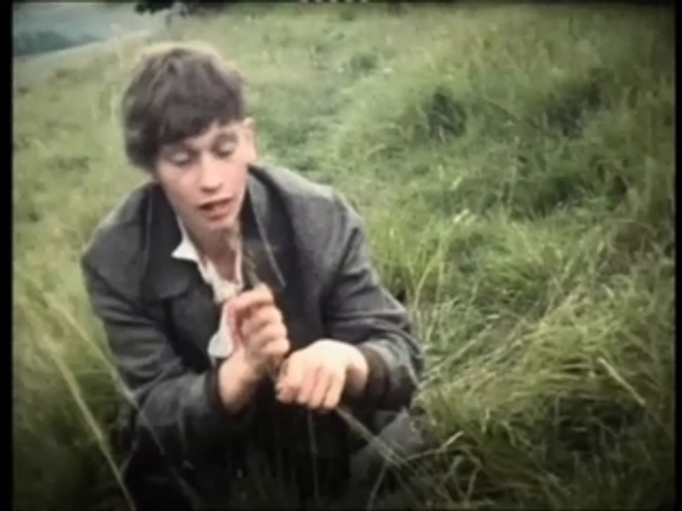 Larrikin Love -HappyAsAnnie