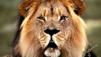 A la claire fontaine