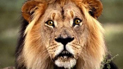 A la pêche aux moules