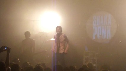 SHAKA PONK Stop the bot ? et Just the nerd au MANEGE à Lorient Mai 2010.SDC12207