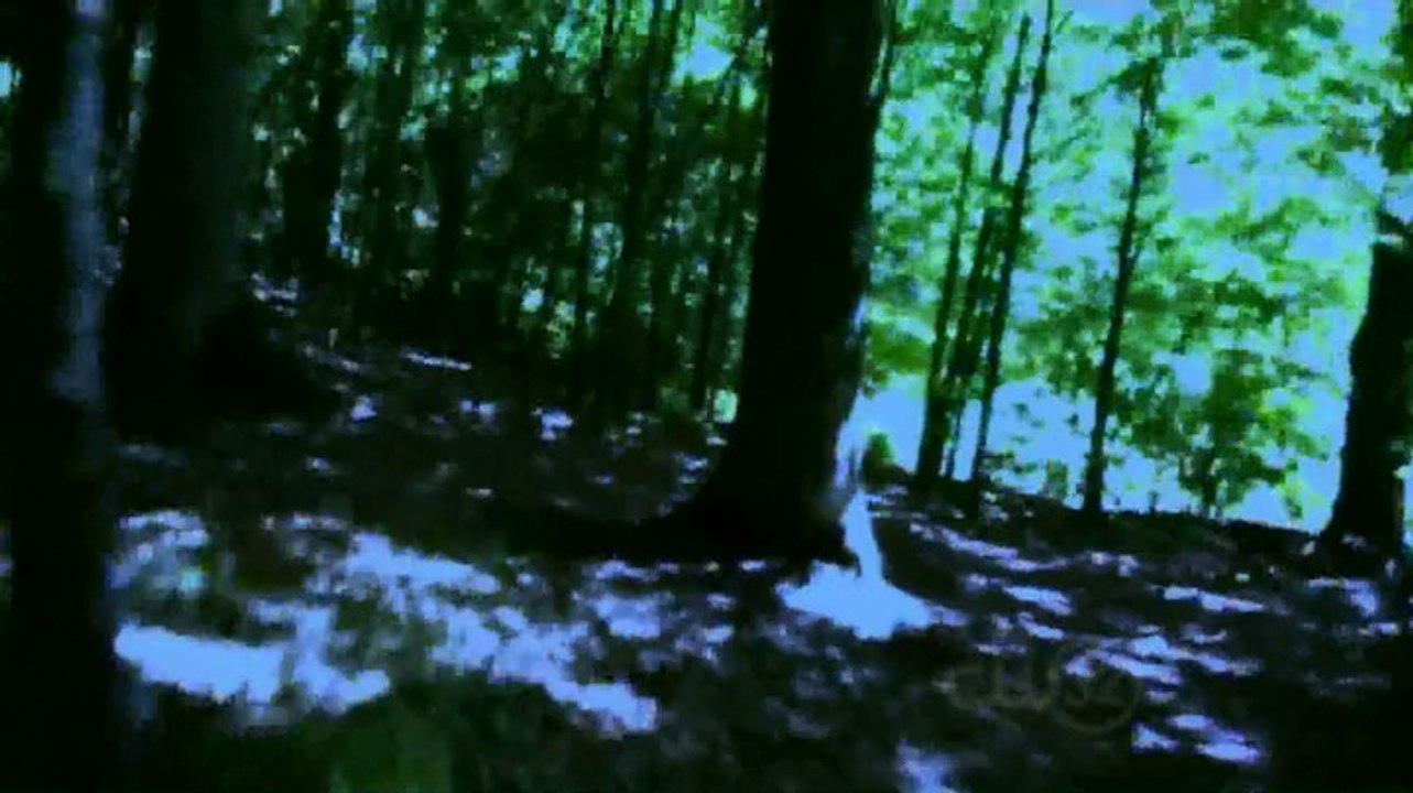 Unsealed.Alien.Files.S02E19.UFOs.Down.Under.HDTV.x264-tNe