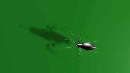 3d Spider Walking Animation