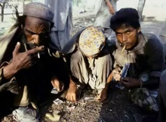 1740055_697644853612602_1343632668_n