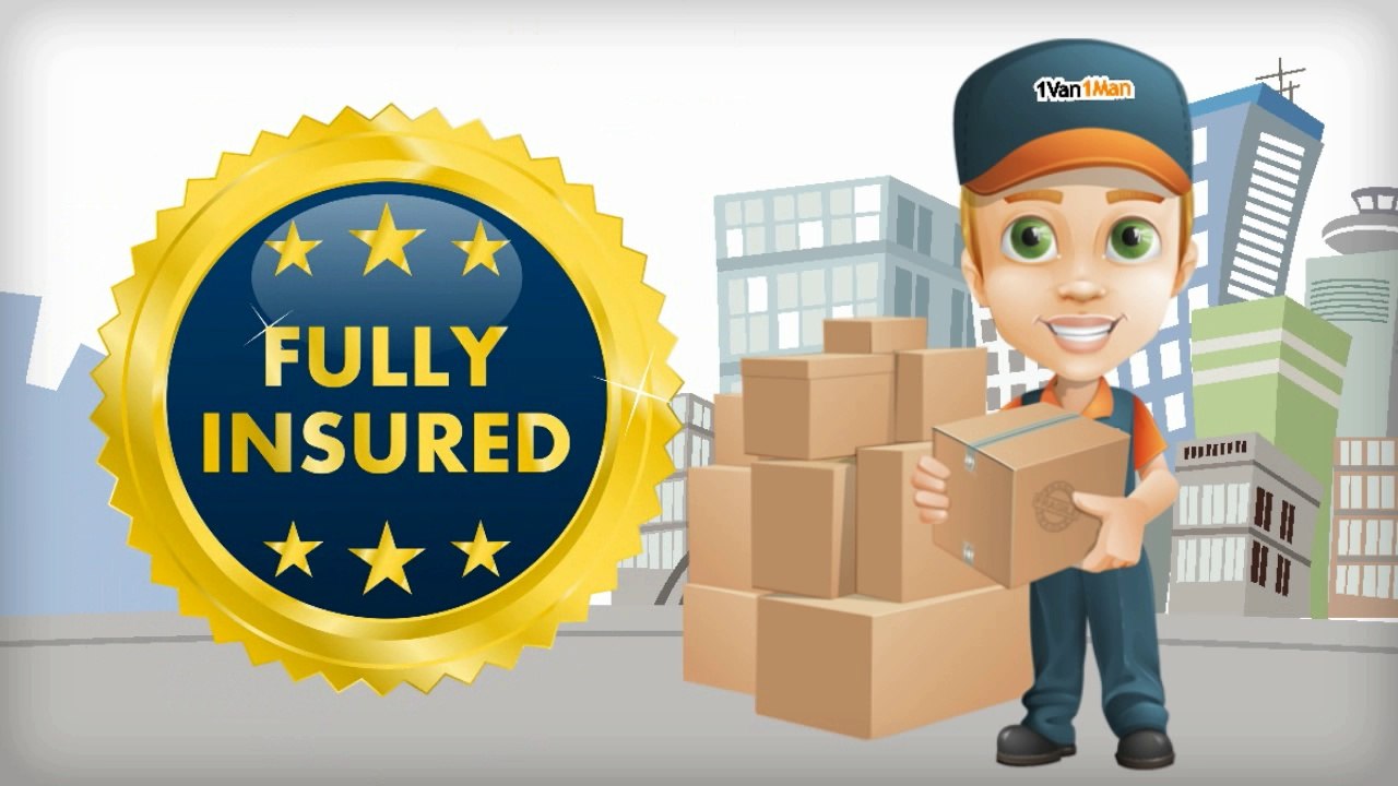 1 Van 1 Man Removals in York  - Man with a Van York