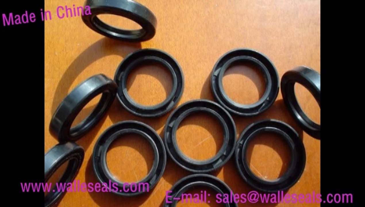 Double Lip Oil Seal and tc oil seals