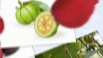 Garcinia Cambogia Best Fat Loss Supplement