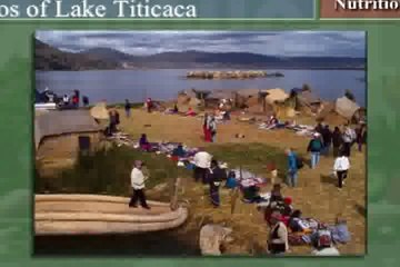 The Starch Solution and Why Salt is a Scapegoat