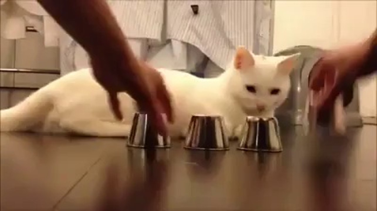 SMART
