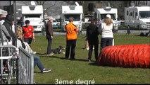 Sophie et Easy concours agility Wissembourg 09/03/2014