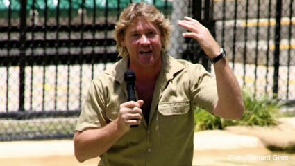 Steve Irwin’s Death Described by Camera Man