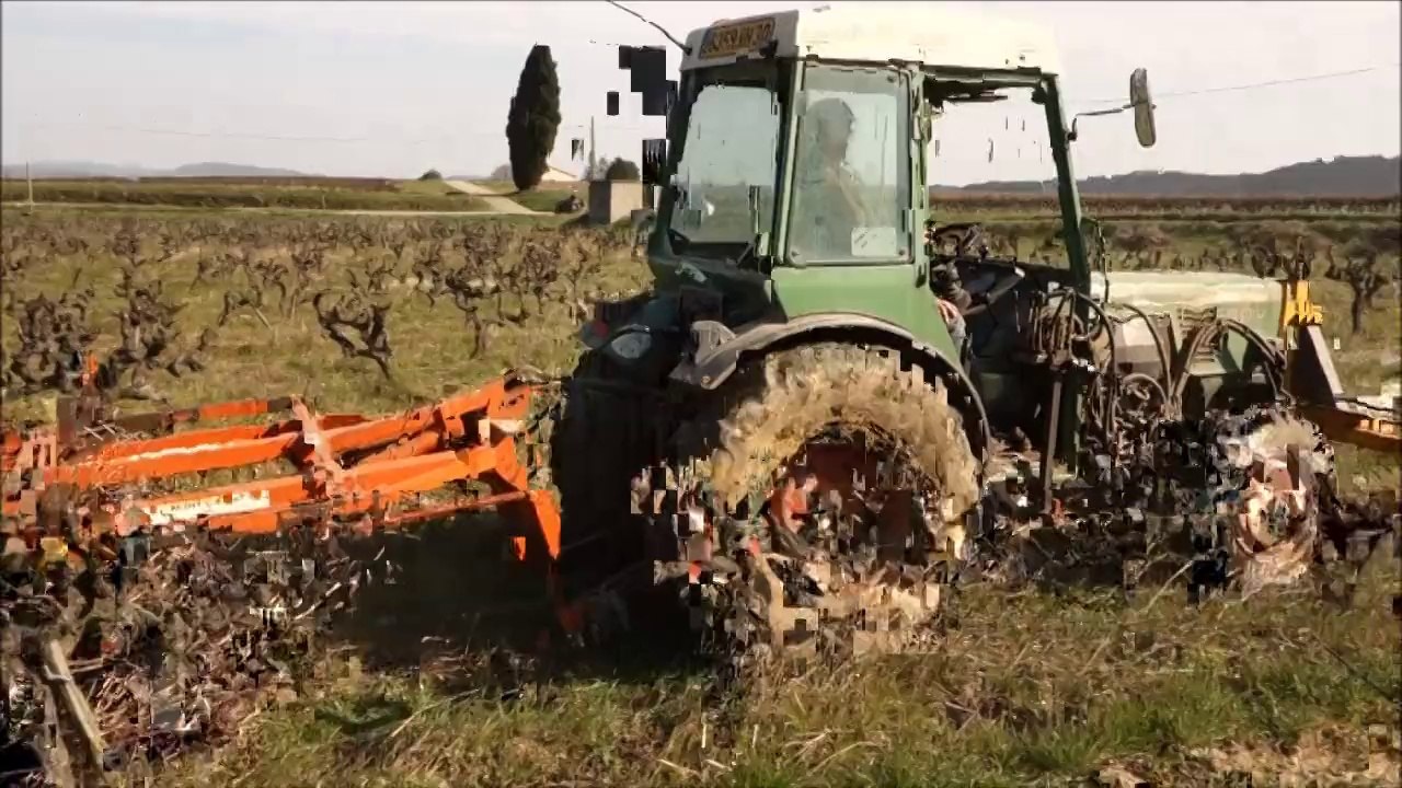 Frigoulas - Côtes du rhône - Ramassage des sarments de vigne