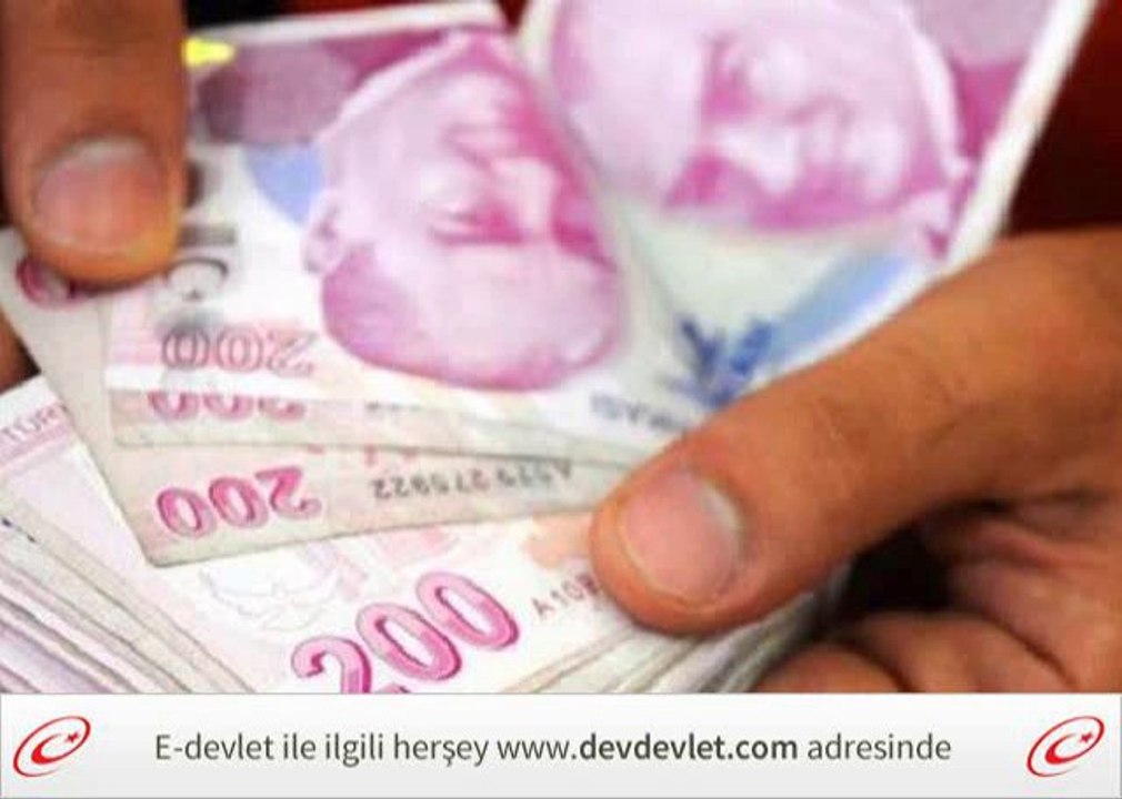 E Devlet Hizmet Sorgulama