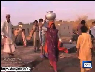 Distribution of wheat started in Tharparkar,situation begin to improve