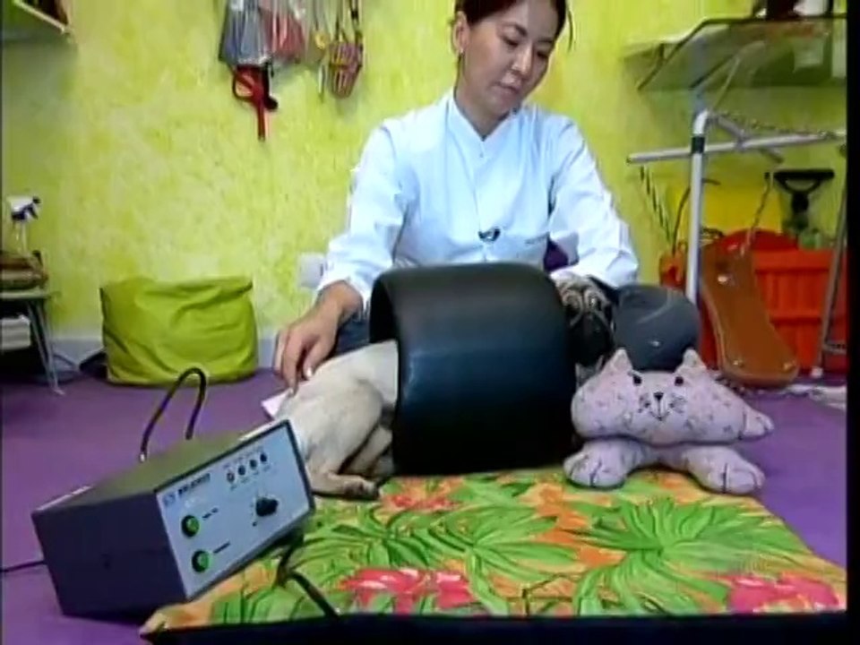 JORNAL DA RECORD 20130329 SEXTA-FEIRAx