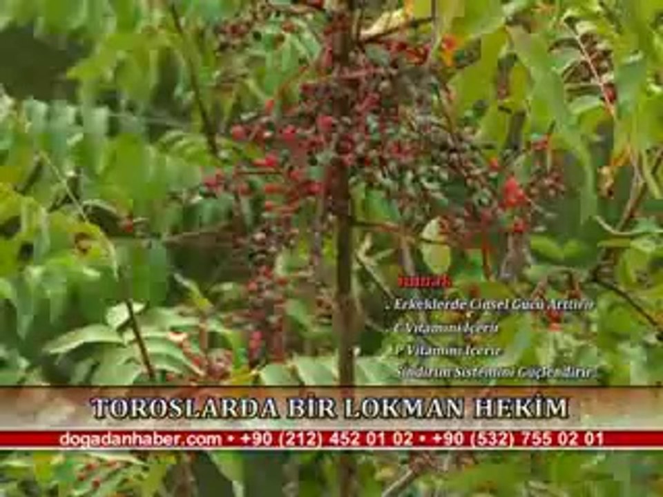 BİTKİSEL ÜRÜNLERLE KESİN ÇÖZÜM!