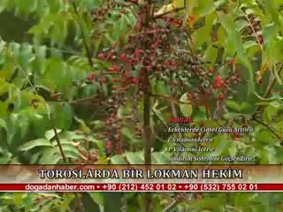 BİTKİSEL ÜRÜNLERLE KESİN ÇÖZÜM!