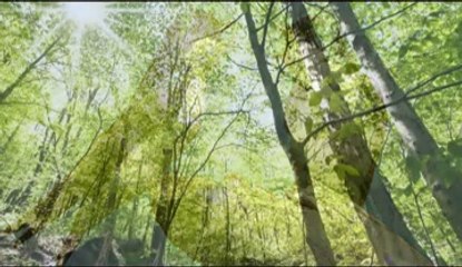 Bird Sounds_ One Hour Nature Sounds Music for Meditation and Relax, Massage and Autogenic Training