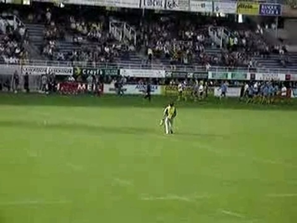 ASM - WORCESTER renard et Chanson Wazoo