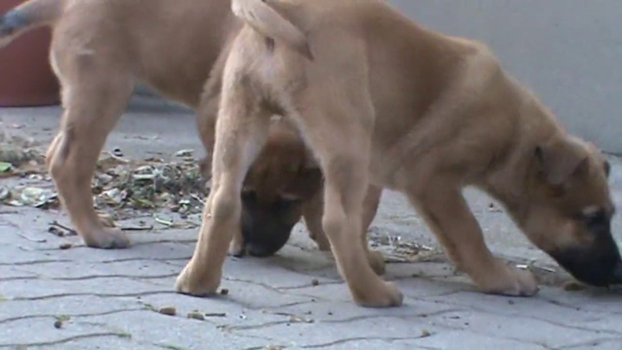 Be Aware G's @ Having a break