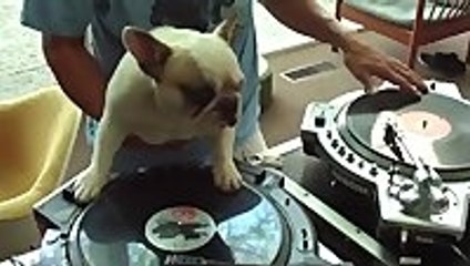 Spin that shit, dawg