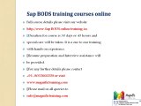 Sap BODS online training@USA,UK,CANDA