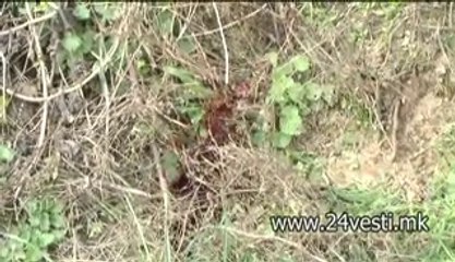 IZJAVA ANITA STOJKOVSKA SVR VELES
