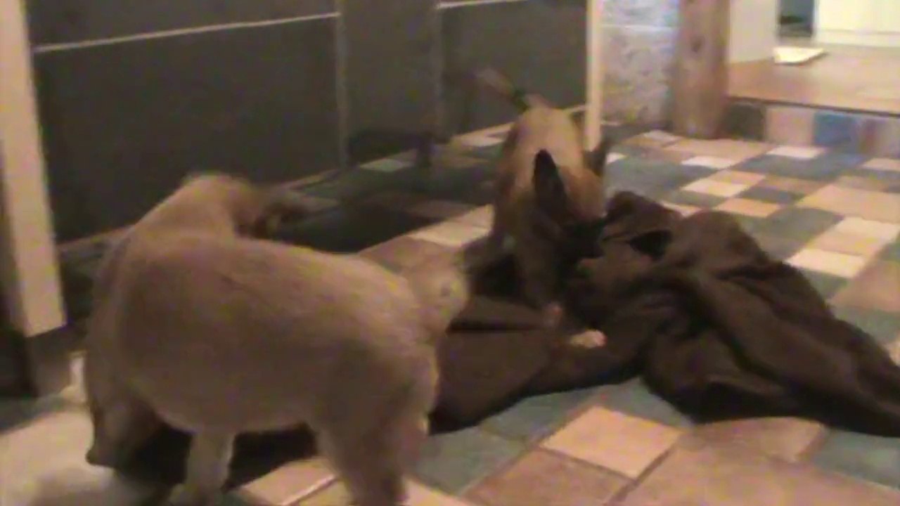 Be Aware G's @ Work it out