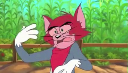 Tom and Jerry - sound to moving image college project