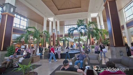 Belle Haven Apartments in Charlotte, NC - ForRent.com
