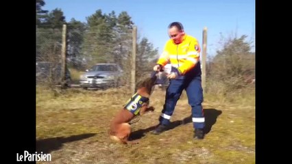 Seine-et-Marne. La Protection Civile lance un appel aux dons