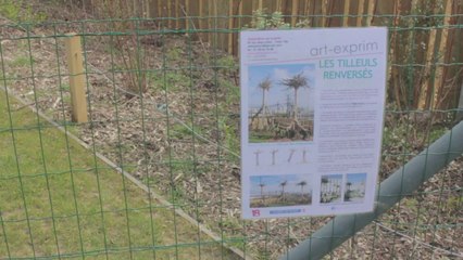 Un nouveau jardin rue des Poissonniers, dans le 18e arrondissement de Paris