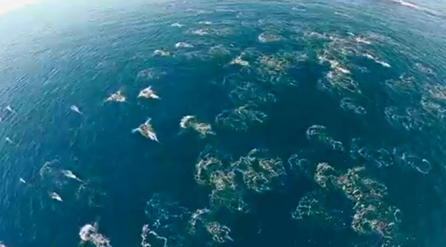 Bu Muhteşem Görüntüleri Sakın Kaçırmayın!