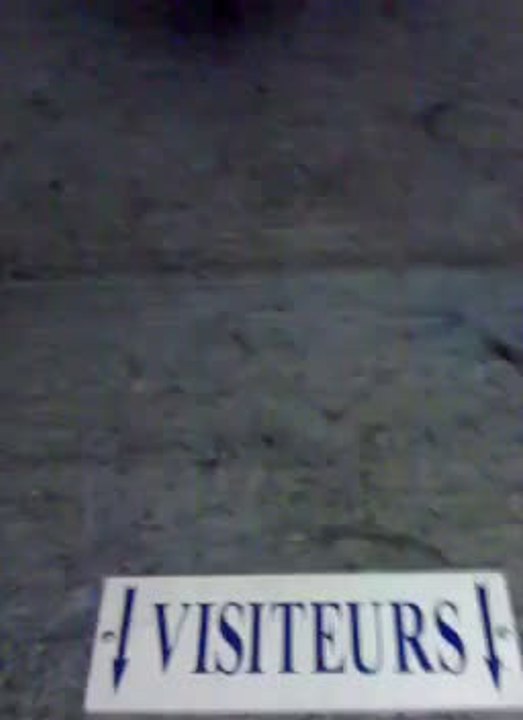 visiteurs