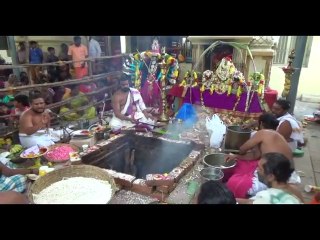 Villupuram shri chandi homam  08 03 14  Untitled